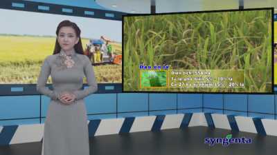 Thông tin dịch hại Nông nghiệp 24-02-2016