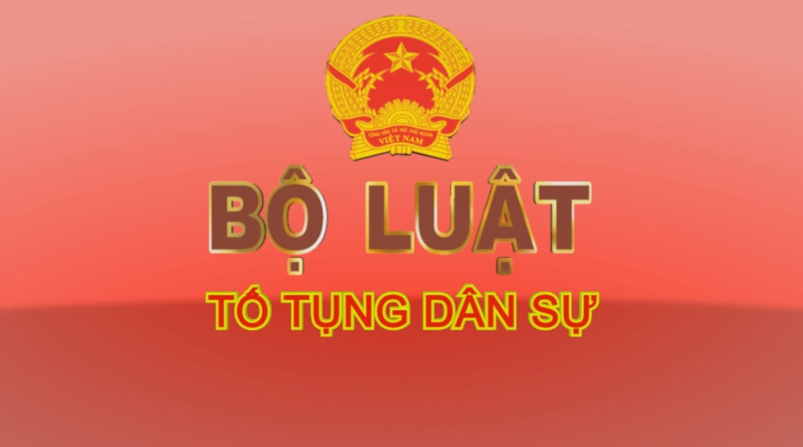 Giới thiệu Pháp luật Việt Nam 23-01-2017