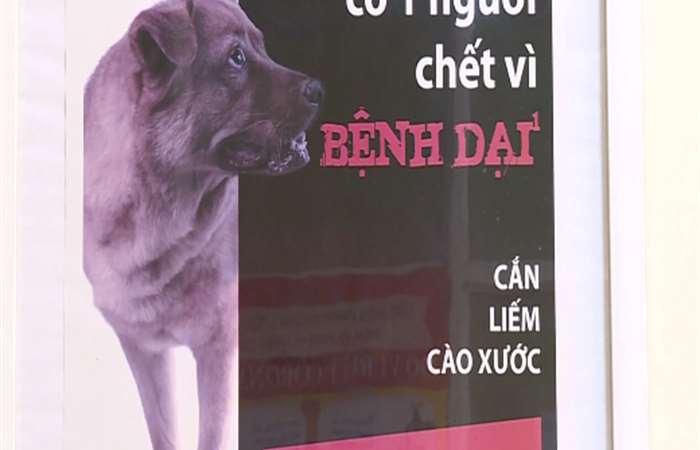 Báo động số ca tử vong do bệnh dại