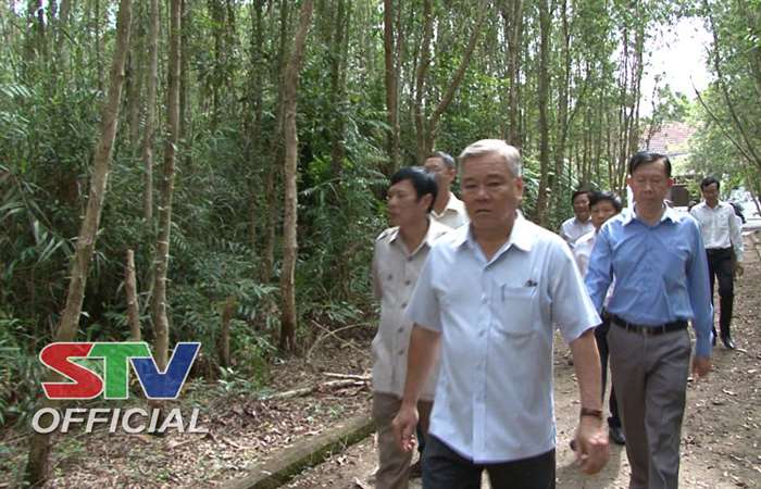 Bí thư Tỉnh ủy Sóc Trăng thăm khu căn cứ rừng tràm Mỹ Phước và khảo sát phân trường Mỹ Phước.
