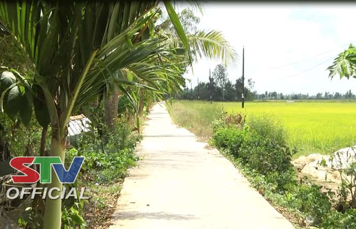 Bức tranh xã Nông thôn mới Mỹ Bình dần hiện hữu