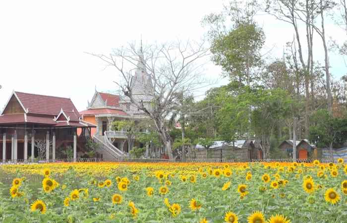 Câu chuyện Văn hóa - Tiếng Khmer (24-02-2023)