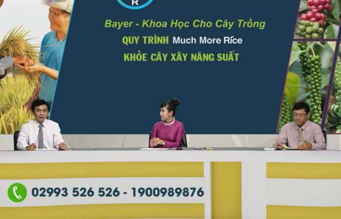  Quy trình Much More Rice Khỏe cây xây năng suất (17-06-2021)