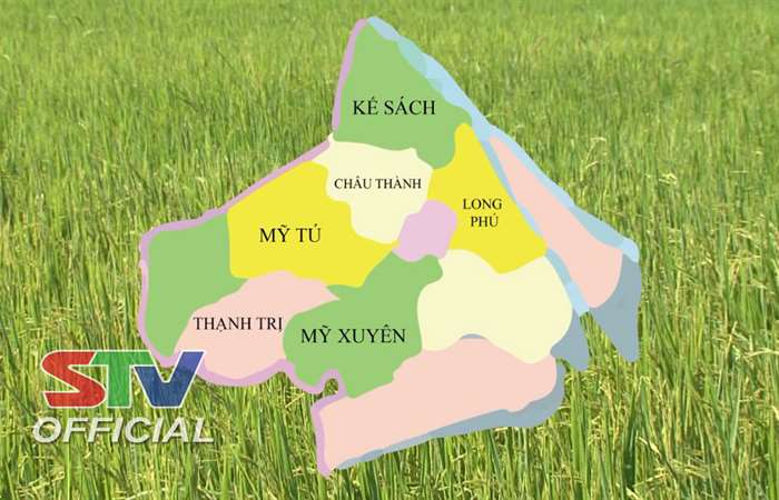 Cơ hội cho nông dân trong vùng Dự án Chuyển đổi nông nghiệp bền vững Sóc Trăng.