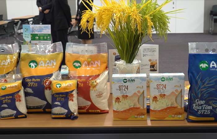 Gạo ST25 của Việt Nam đã có mặt tại thị trường Nhật Bản