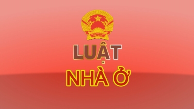 Giới thiệu Pháp Luật Việt Nam 06-06-2016