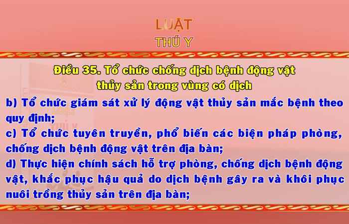 Giới thiệu Pháp luật Việt Nam 08-10-2017