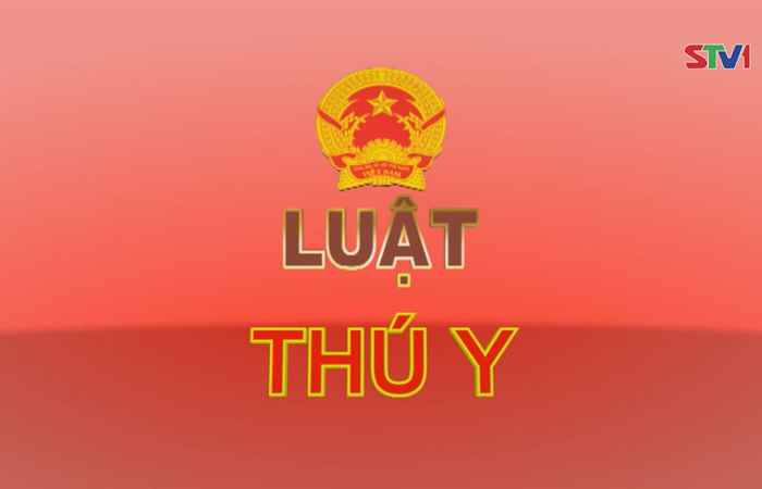 Giới thiệu Pháp luật Việt Nam 15-10-2017