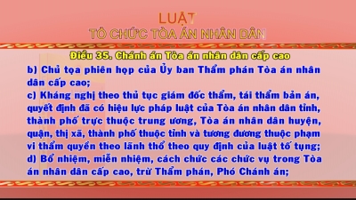 Giới thiệu Pháp Luật Việt Nam 19-06-2016