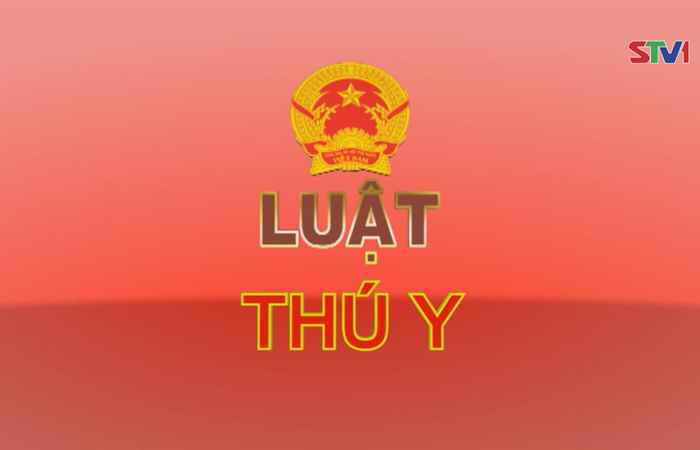 Giới thiệu Pháp luật Việt Nam 24-09-2017