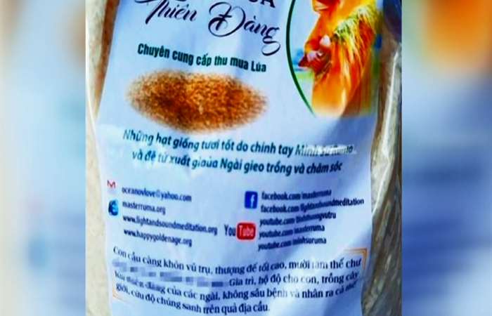 Giống lúa Thiên Đàng không nằm trong danh mục cho phép