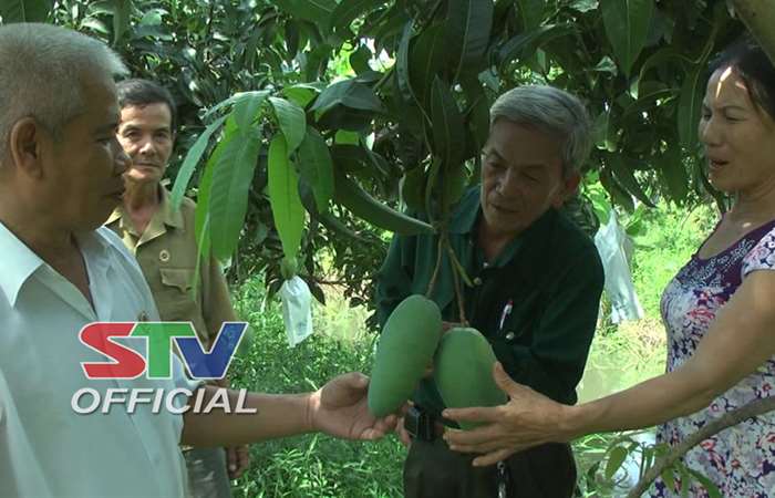 Hội CCB huyện Kế Sách với mô hình hùn xi măng cất nhà
