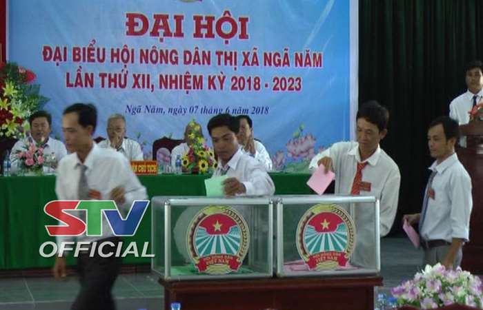 Hội Nông dân thị xã Ngã Năm tổ chức đại hội lần thứ XII