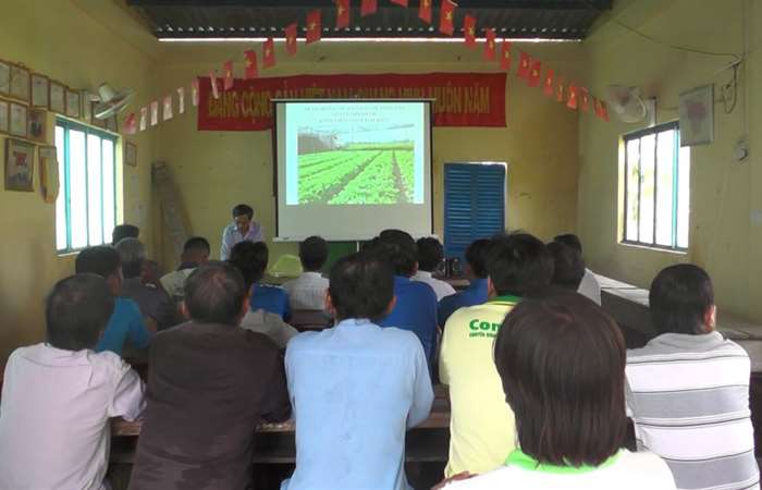 Hội thảo mô hình trồng màu trong nhà lưới ở thị trấn Phú Lộc. 