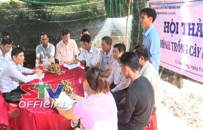 Hội thảo mô hình trồng Nhãn Ido