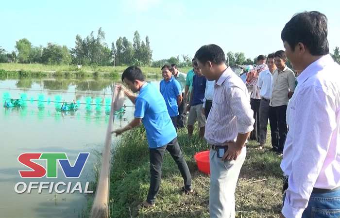 Hội thảo trình diễn mô hình nuôi tôm càng xanh toàn đực ở xã Mỹ Thuận.