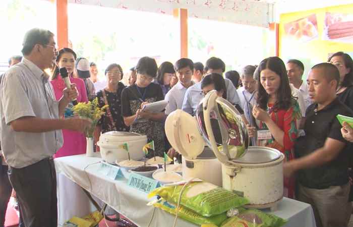 Hội thi gạo ngon lúa thơm 2017 tại hồ nước ngọt 30-10-2017