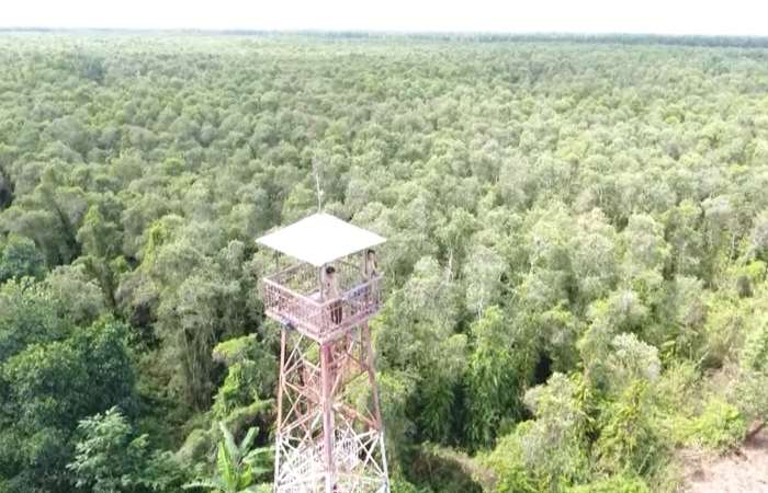 Hơn 43.500 ha rừng Cà Mau ở mức dự báo cháy cấp cao nhất