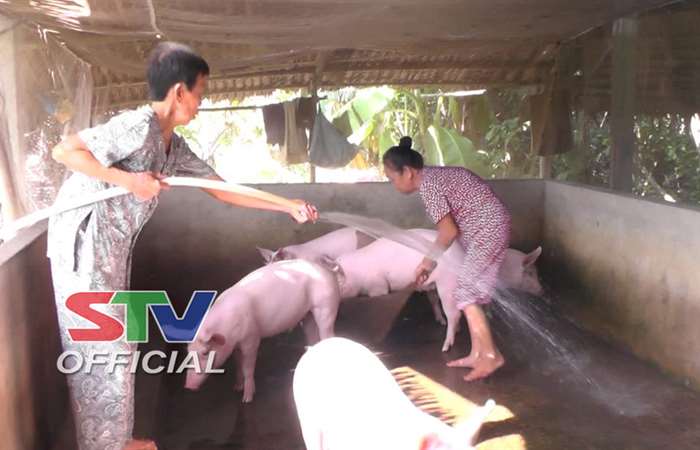 Huyện Thạnh Trị có 859 người cao tuổi làm kinh tế giỏi