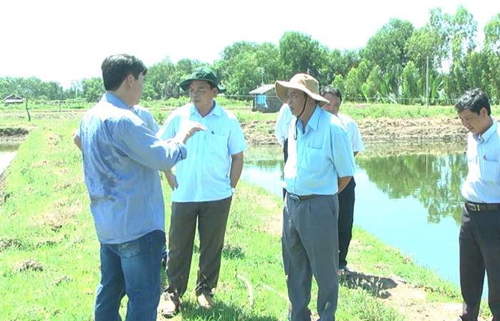 Khảo sát tình hình nuôi tôm ở huyện Mỹ Xuyên 