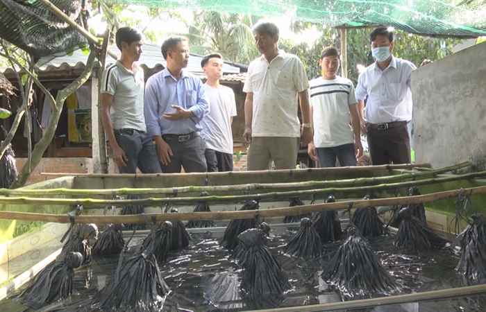 Khuyến Ngư - Kỹ thuật nuôi Lươn không bùn (02-02-2021)