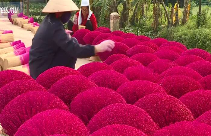 Làng hương (nhang) Việt Nam lên báo nước ngoài