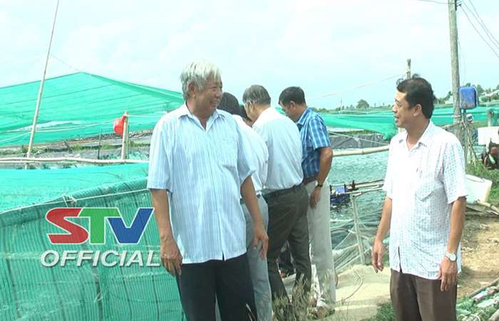 Lãnh đạo Thị ủy Vĩnh Châu kiểm tra tình hình nuôi tôm trên địa bàn.