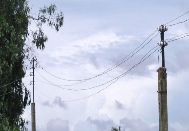 Điện Lực Long Phú khắc phục đường điện mất an toàn