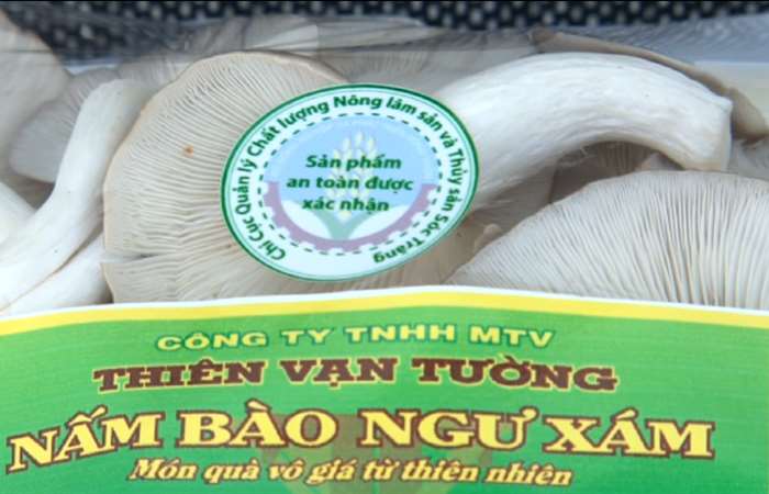 Mô hình chuỗi nông sản được chứng nhận an toàn thực phẩm