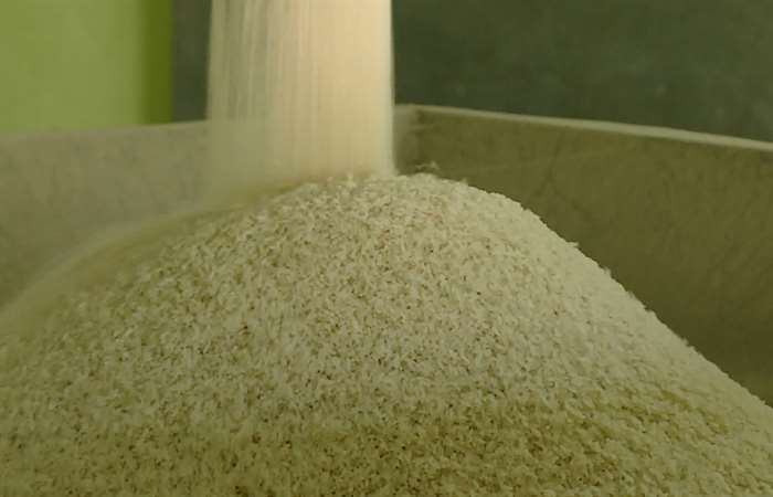 Mỹ dự báo Việt Nam vẫn đứng thứ 2 về xuất khẩu gạo