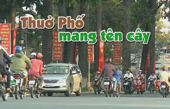 Nét Việt 21-11-2017