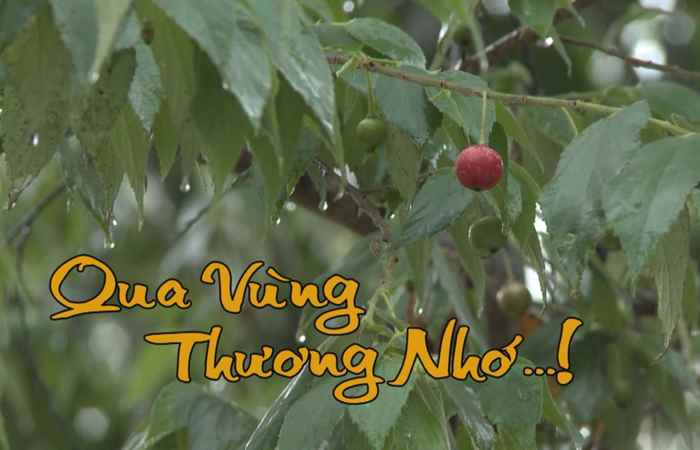 Nét Việt 27-10-2017