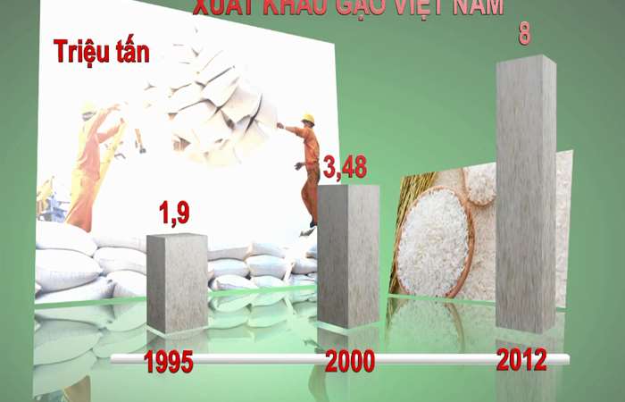Ngành lúa gạo dừng chạy theo số lượng