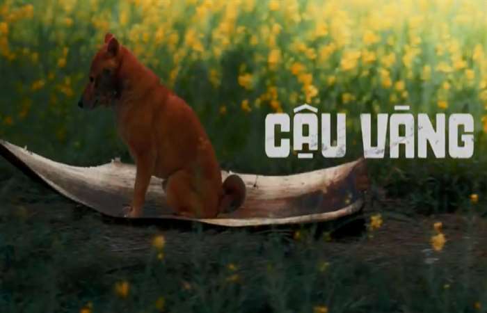 Phim 'Cậu Vàng' hé lộ những hình ảnh đầu tiên thật đẹp và yên bình