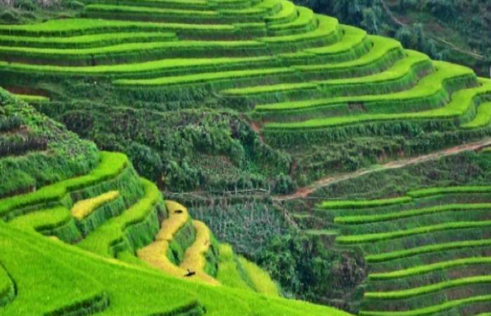 Sa Pa và Ninh Bình lọt Top điểm hấp dẫn tại châu Á