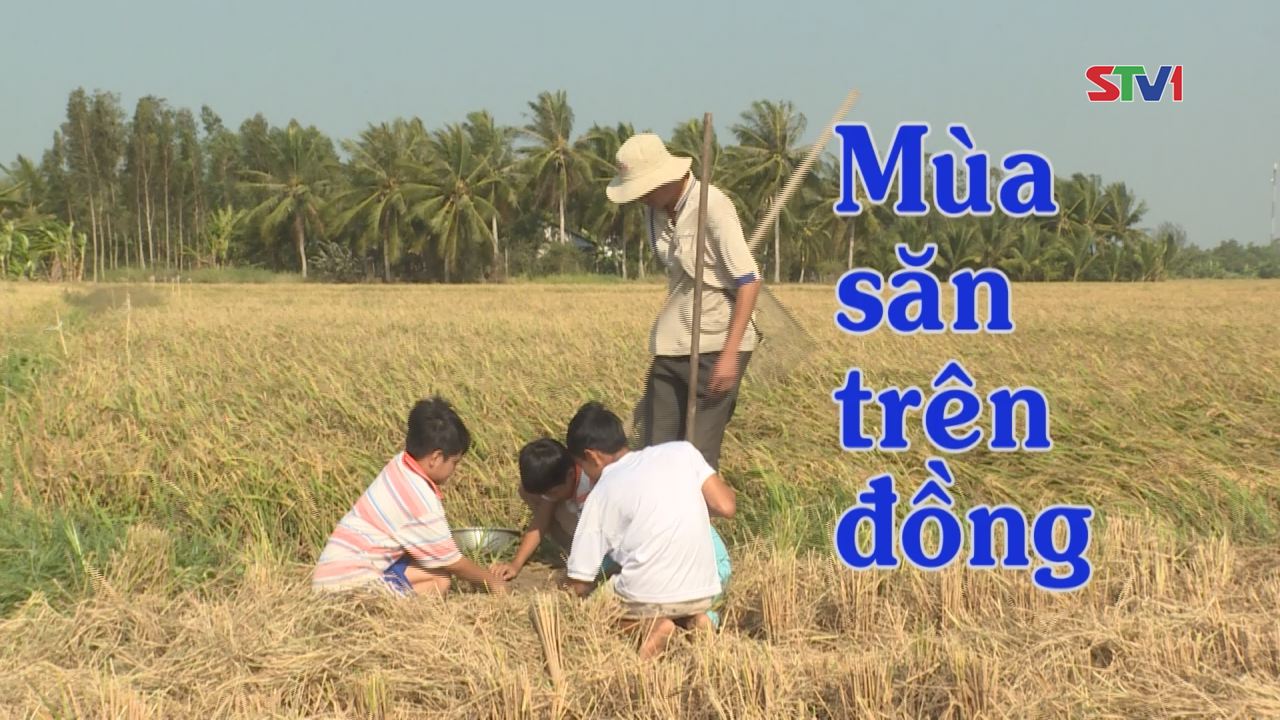 Nét Việt - Mùa Săn Trên Đồng 11-12-2016