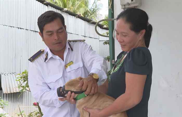 Tăng cường công tác phòng ngừa bệnh dại trên đàn chó, mèo nuôi (07-02-2023)