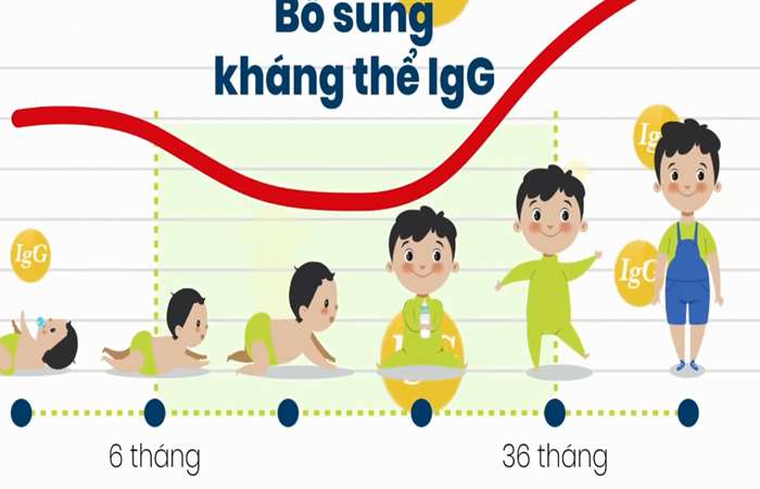 Tăng cường hệ miễn dịch cho trẻ bằng kháng thể IgG