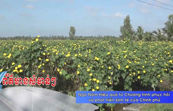 Thời sự tiếng Khmer (01-12-2023)