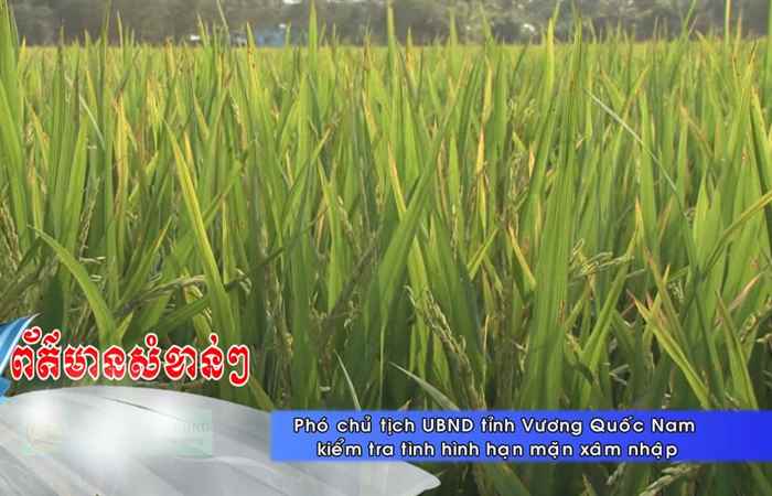 Thời sự tiếng Khmer (02-02-2021)