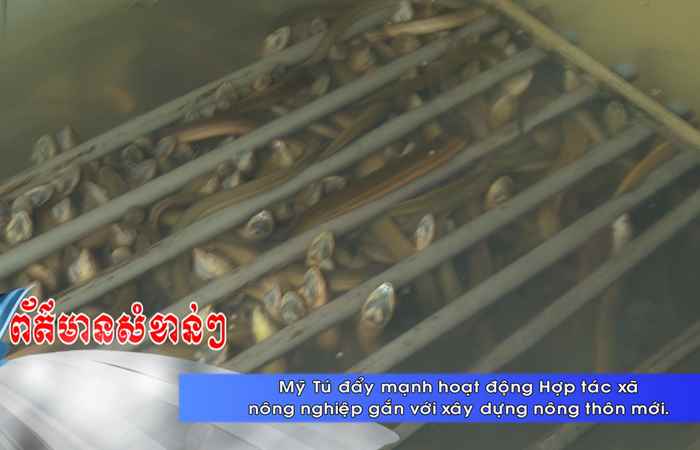  Thời sự tiếng Khmer (03-06-2023)