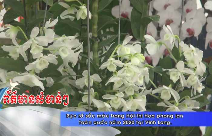Thời sự tiếng Khmer (09-11-2020)