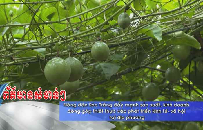 Thời sự tiếng Khmer (17-10-2022)