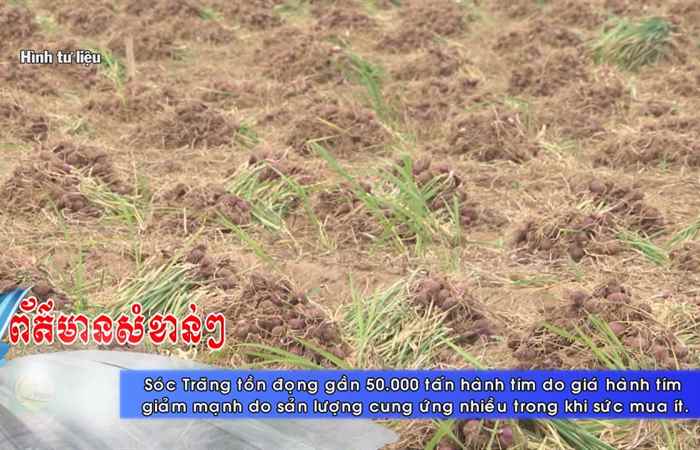 Thời sự tiếng Khmer (19-04-2021)