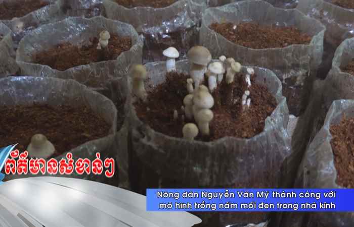  Thời sự tiếng Khmer (22-08-2023)