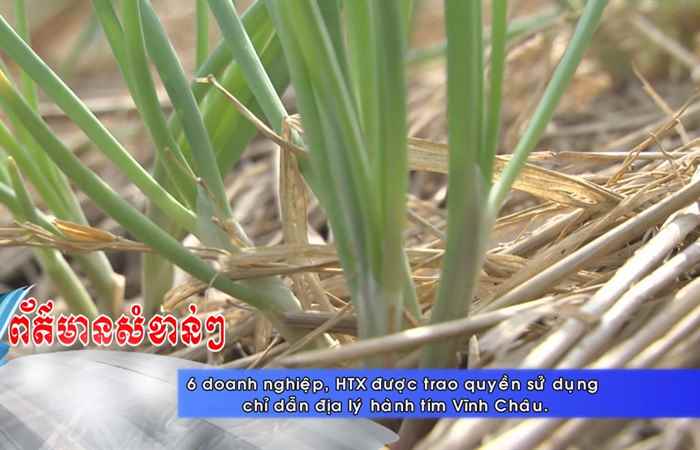 Thời sự tiếng Khmer (26-09-2020)