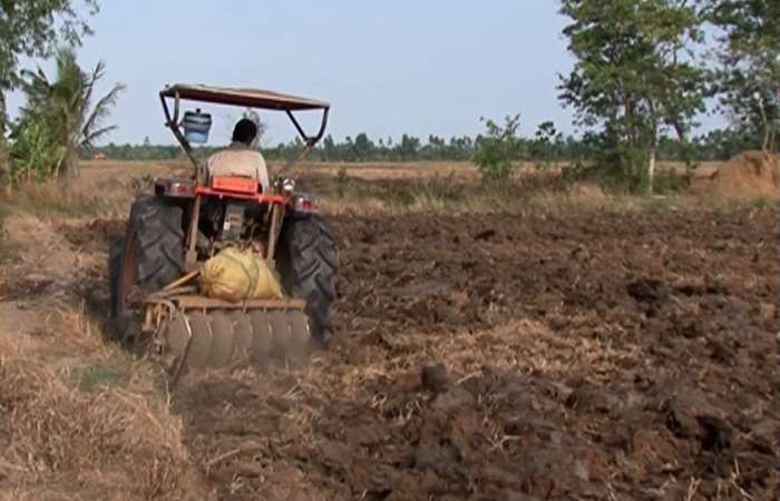 Thông tin dịch hại nông nghiệp trên địa bàn tỉnh Sóc Trăng