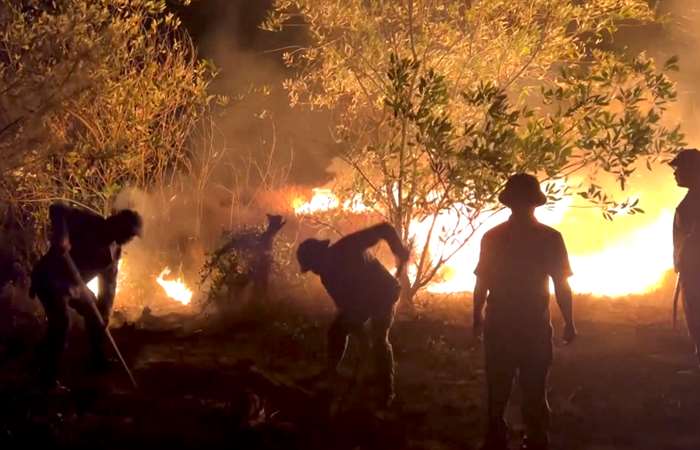 Thủ tướng Chính phủ yêu cầu quyết liệt phòng cháy, chữa cháy rừng
