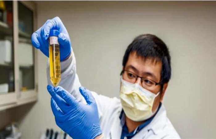 Tìm thấy kháng thể "vô hiệu hóa hoàn toàn" virus gây COVID-19