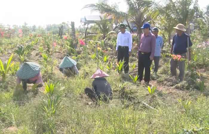 Cù Lao Dung: Huyện ủy khảo sát mở rộng các tuyến đường nông thôn và phát triển du lịch cộng đồng